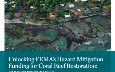 Capstone Impact Update: Austen Stovall Unlocking FEMA’s Hazard Mitigation Funding for Coral Reef Restoration