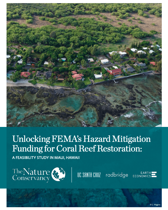 Capstone Impact Update: Austen Stovall Unlocking FEMA’s Hazard Mitigation Funding for Coral Reef Restoration