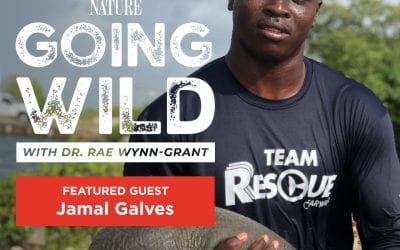 Jamal Galvez (CSP Class of 2023) Interviewed on NPR’s Nature Going Wild