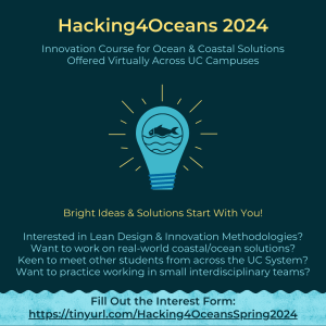 hacking 4 oceans course